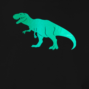 Personalised T-Rex Dinosaur Hoodie - varsanystore